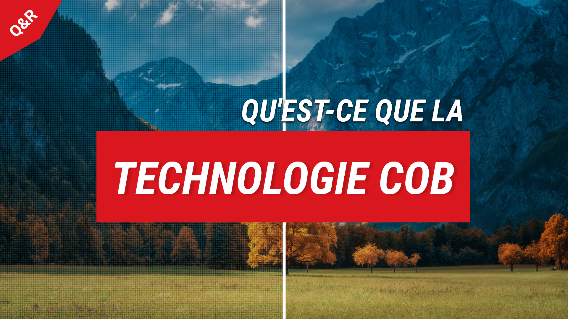 ARTICLE-COB-THUMBNAIL