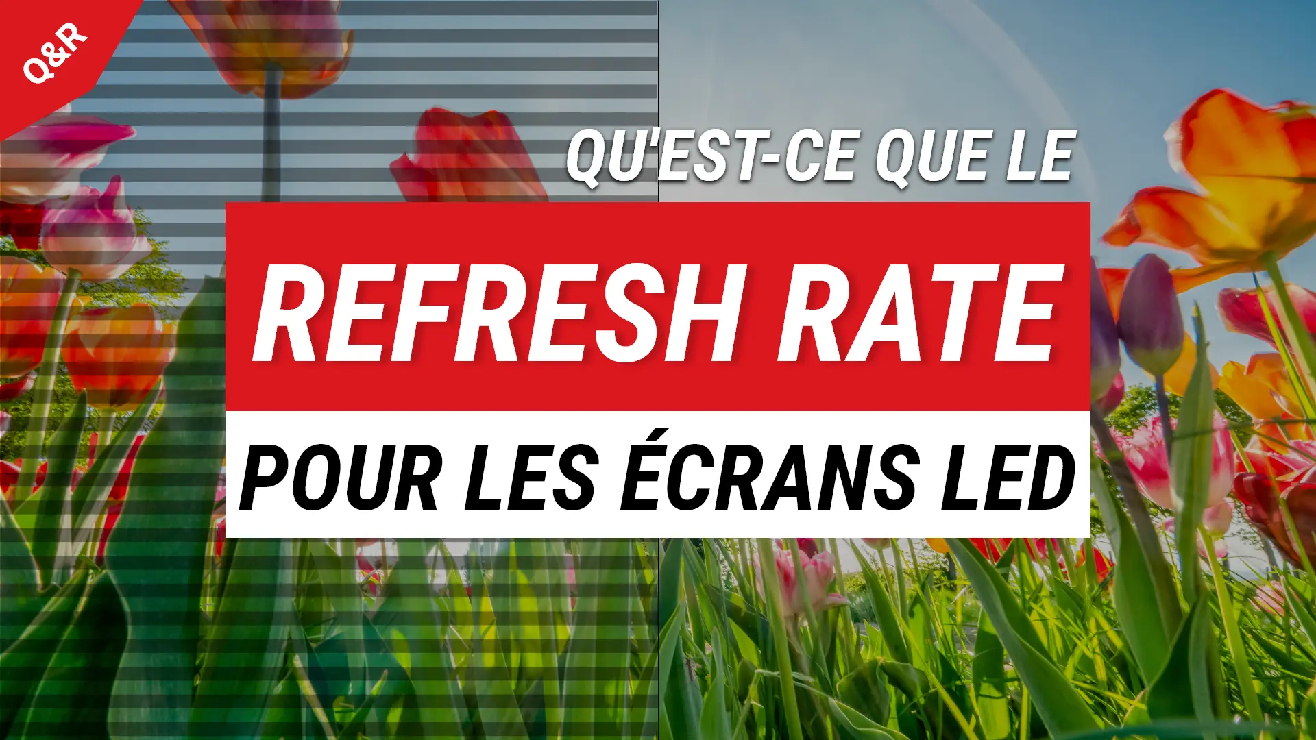 refresh-rate-led-display-thumbnail-fr