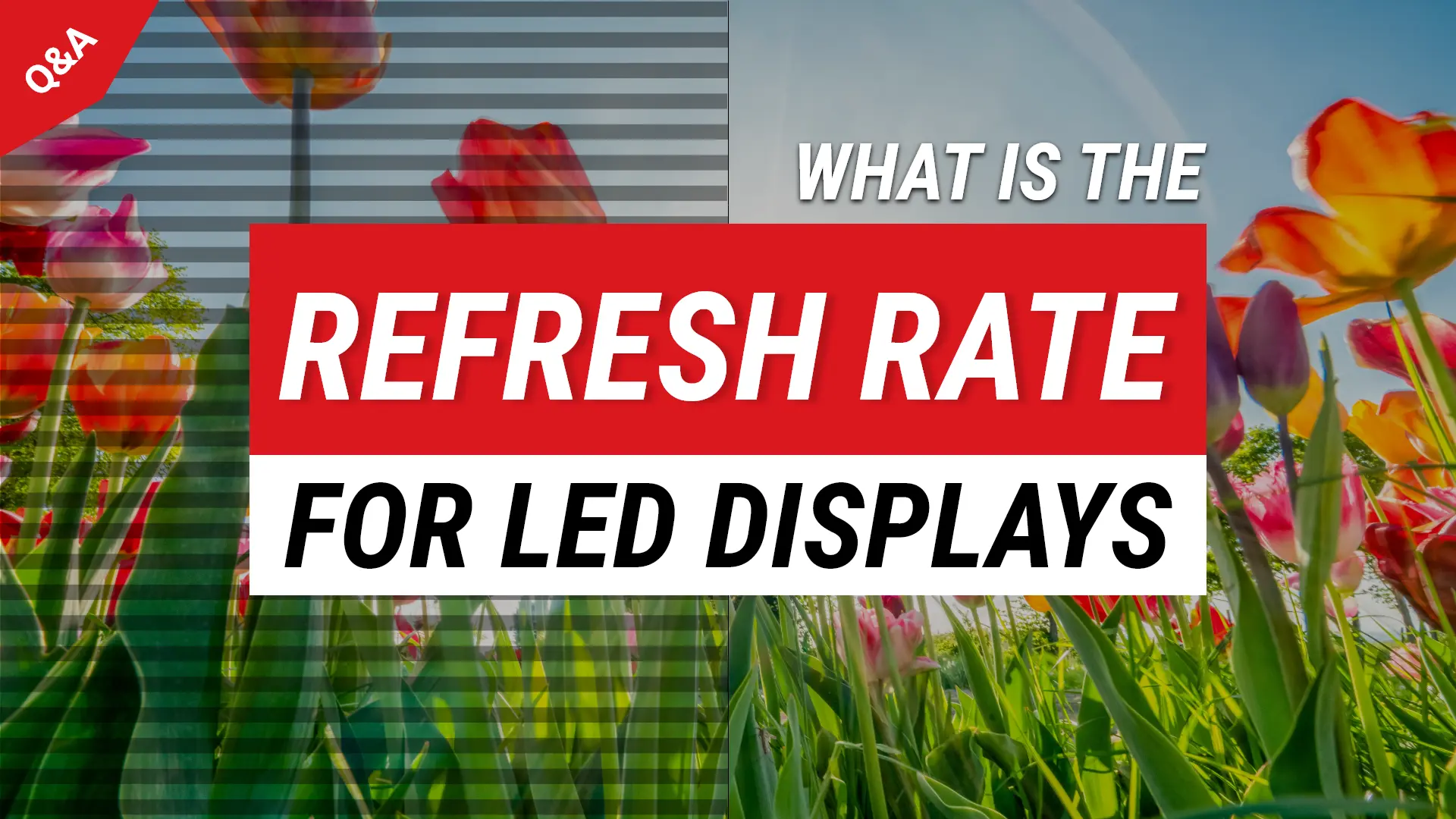 refresh-rate-led-display-thumbnail
