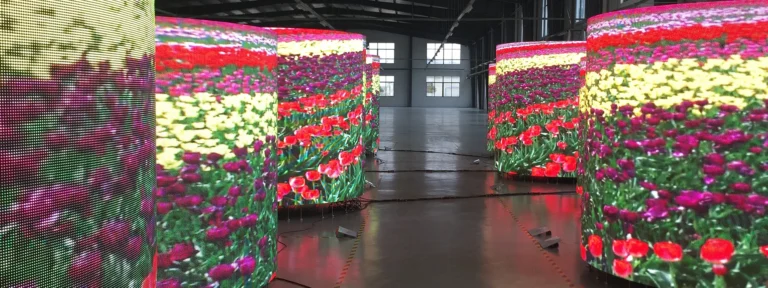 Row of LED cylinders displaying tulips, cabling running along the floor between modules
